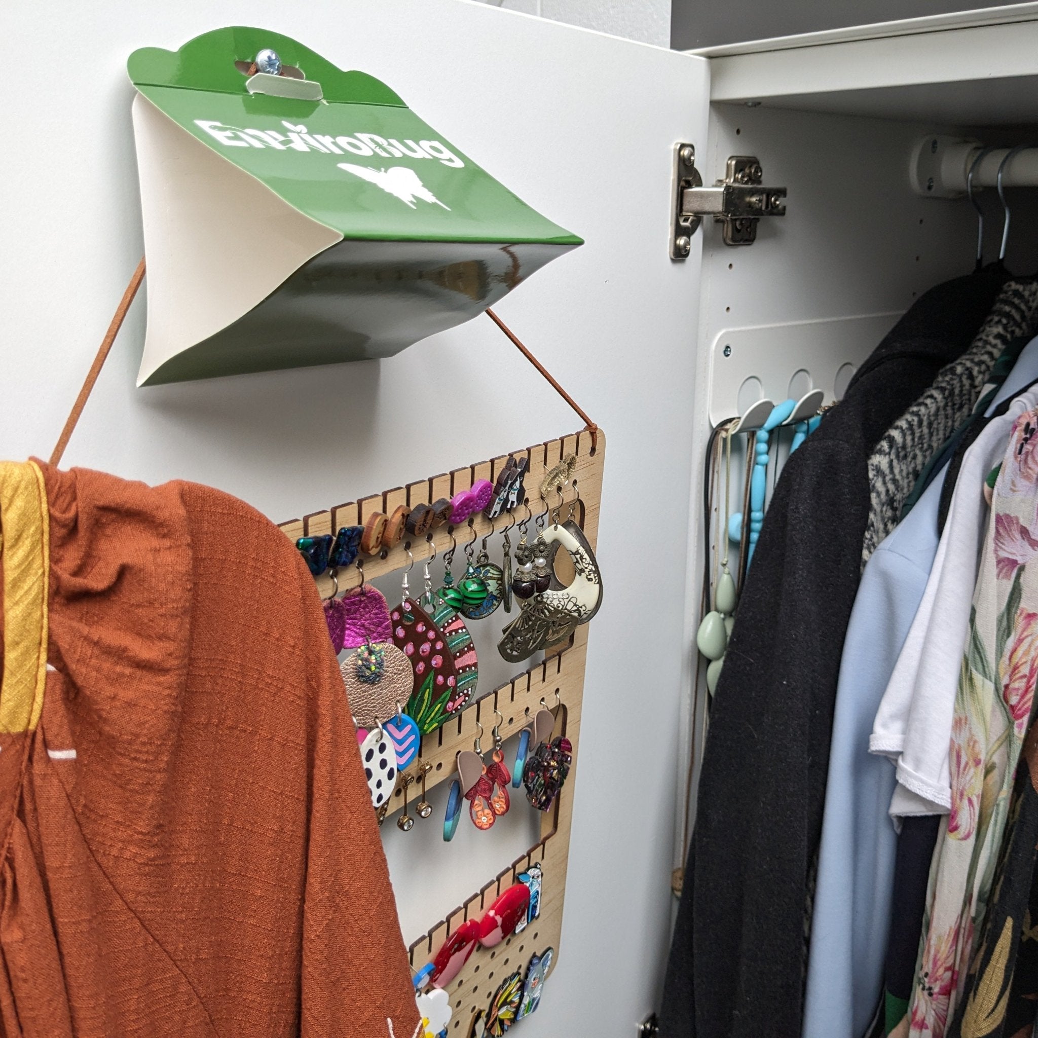 Lure+Stick: Pheromone Traps for Moths - Envirobug