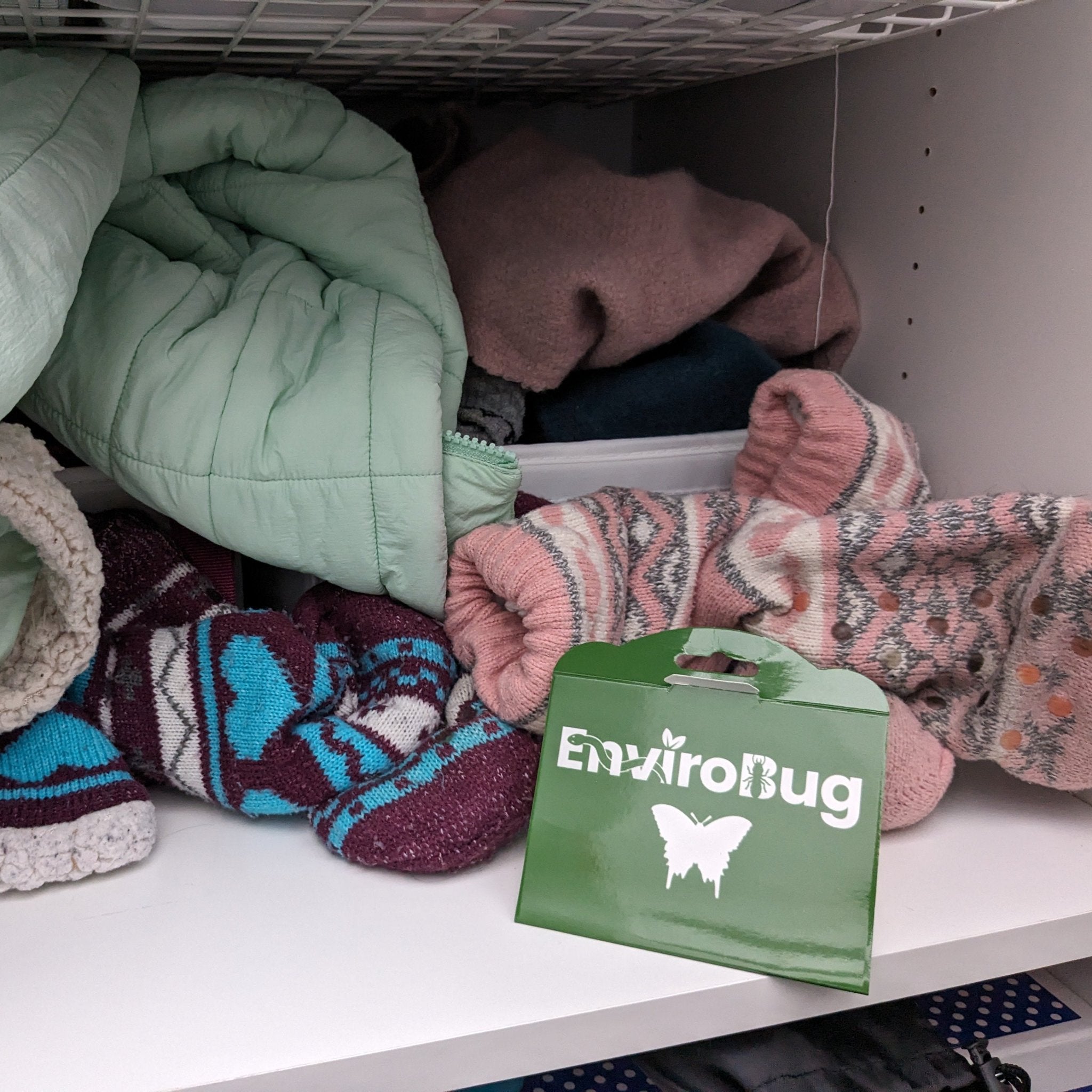 Lure+Stick: Pheromone Traps for Moths - Envirobug