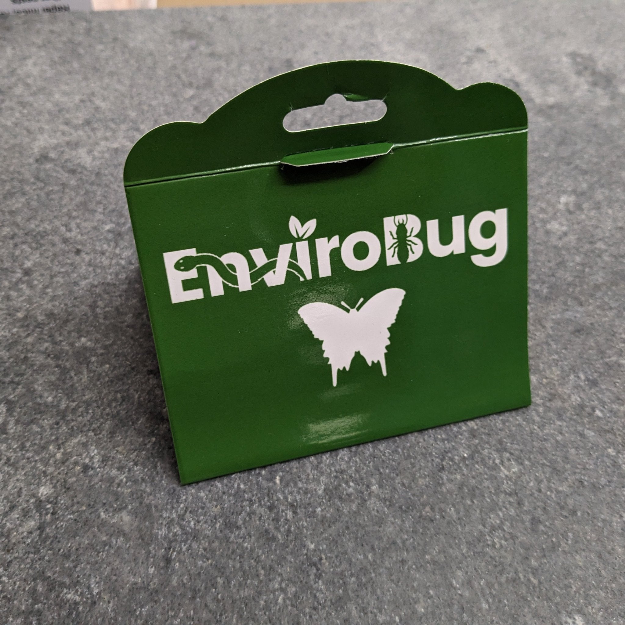 Lure+Stick: Pheromone Traps for Moths - Envirobug