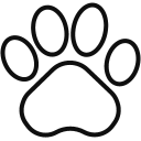 Pet Care