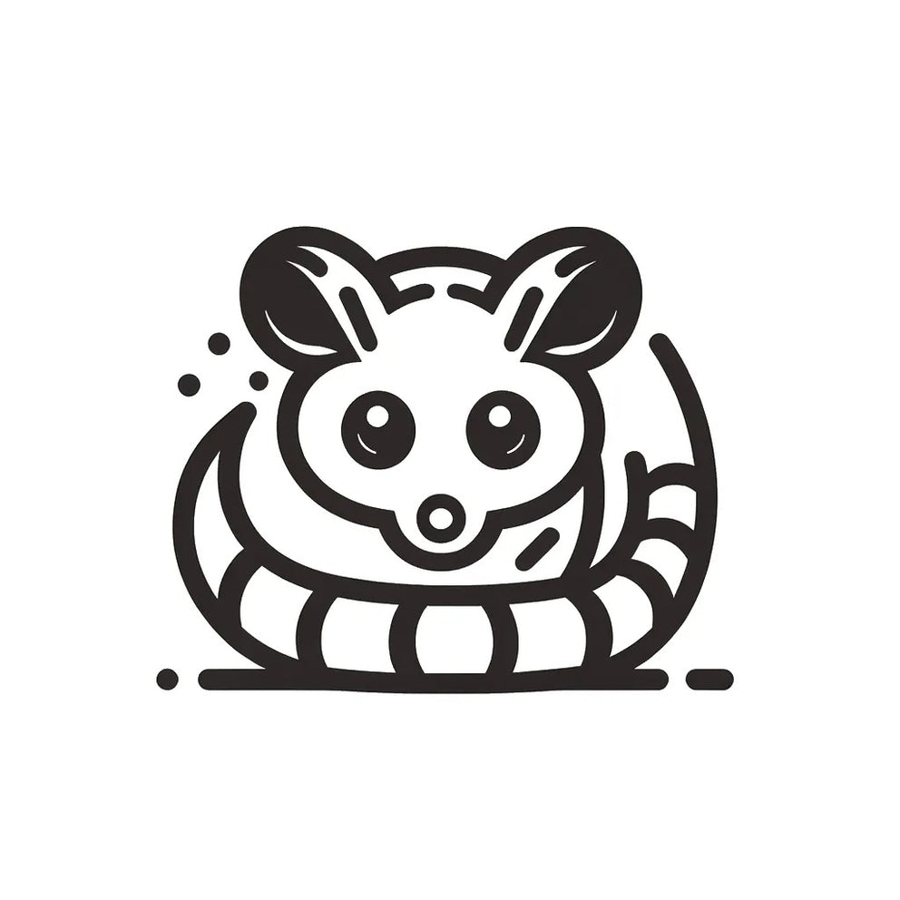 Nocturnal Possums in Australia: When and Why They Come Out – Envirobug