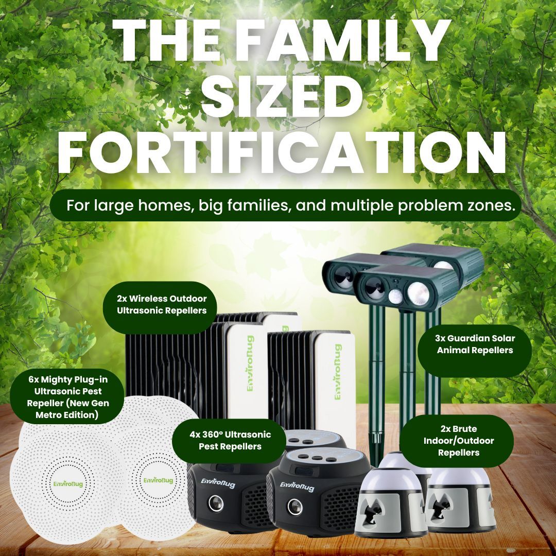The Family-Sized Fortification