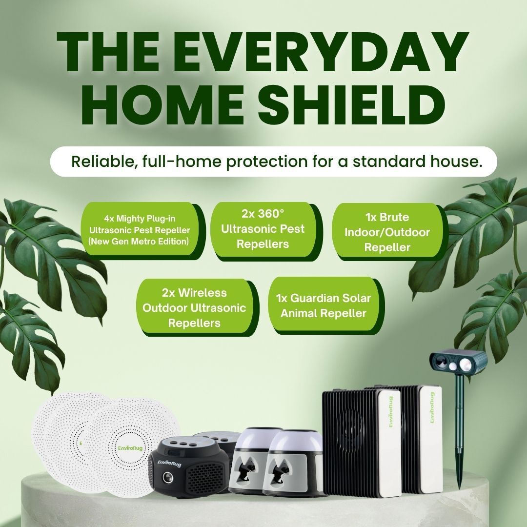 The Everyday Home Shield - Envirobug