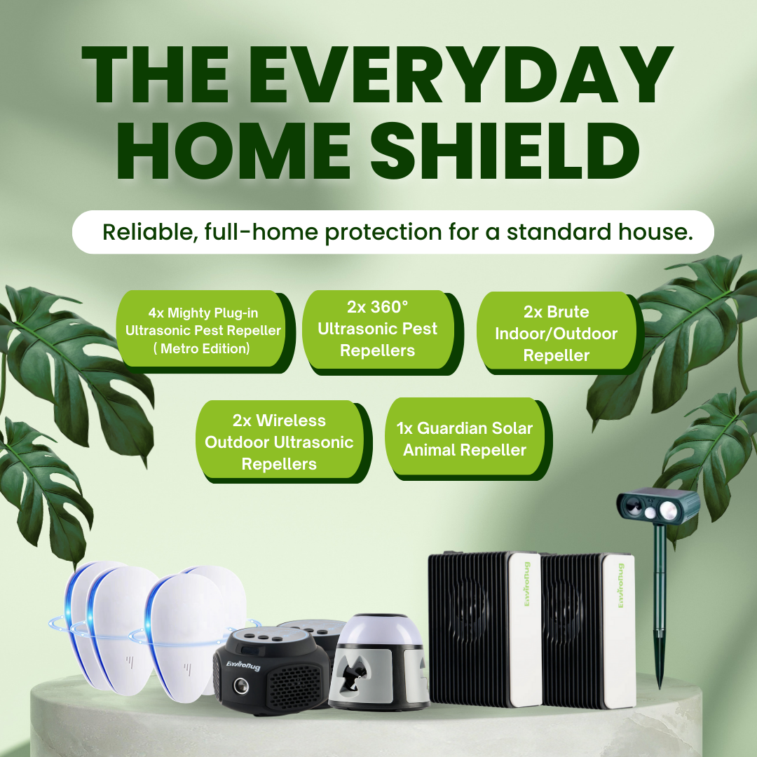The Everyday Home Shield - Envirobug