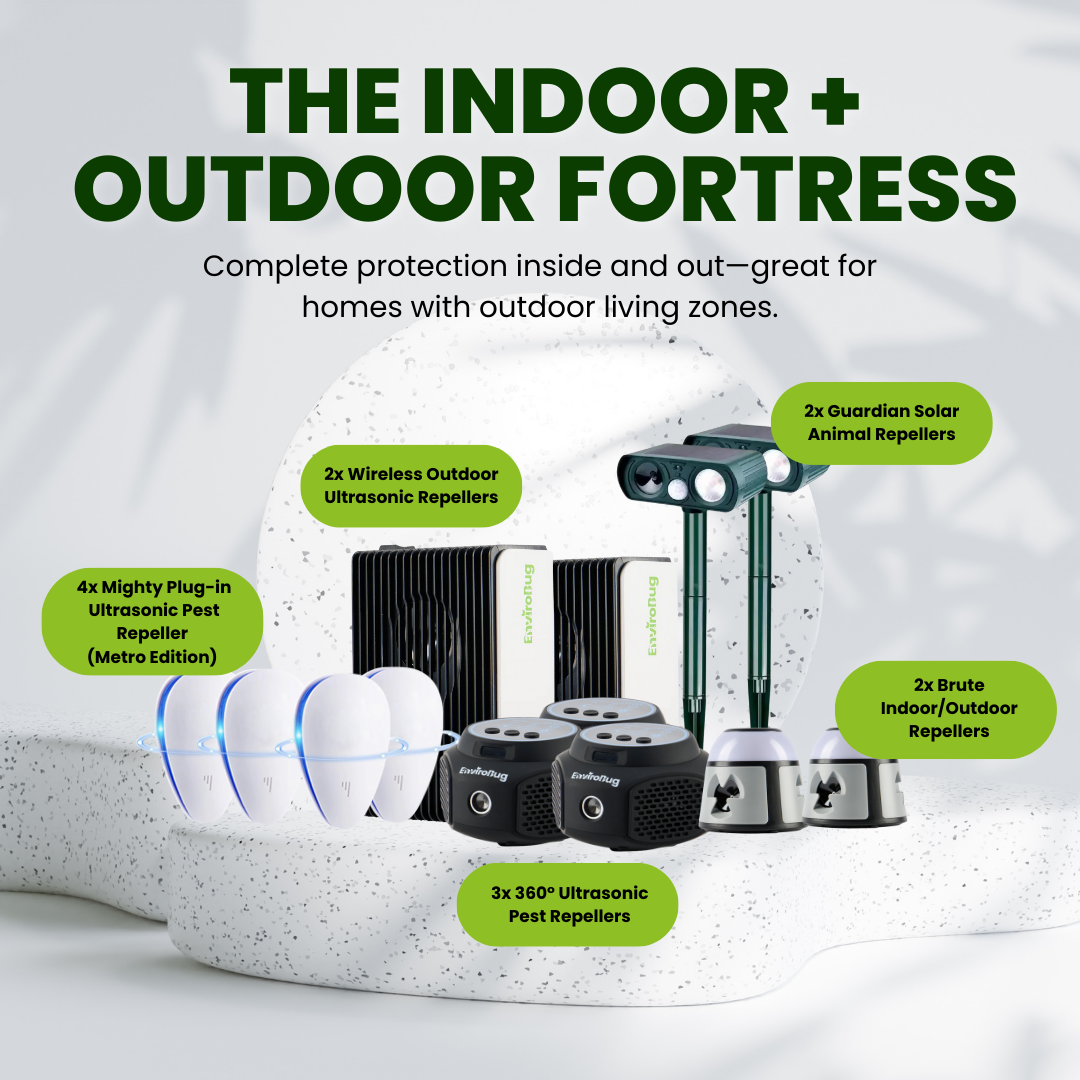 The Indoor + Outdoor Fortress - Envirobug