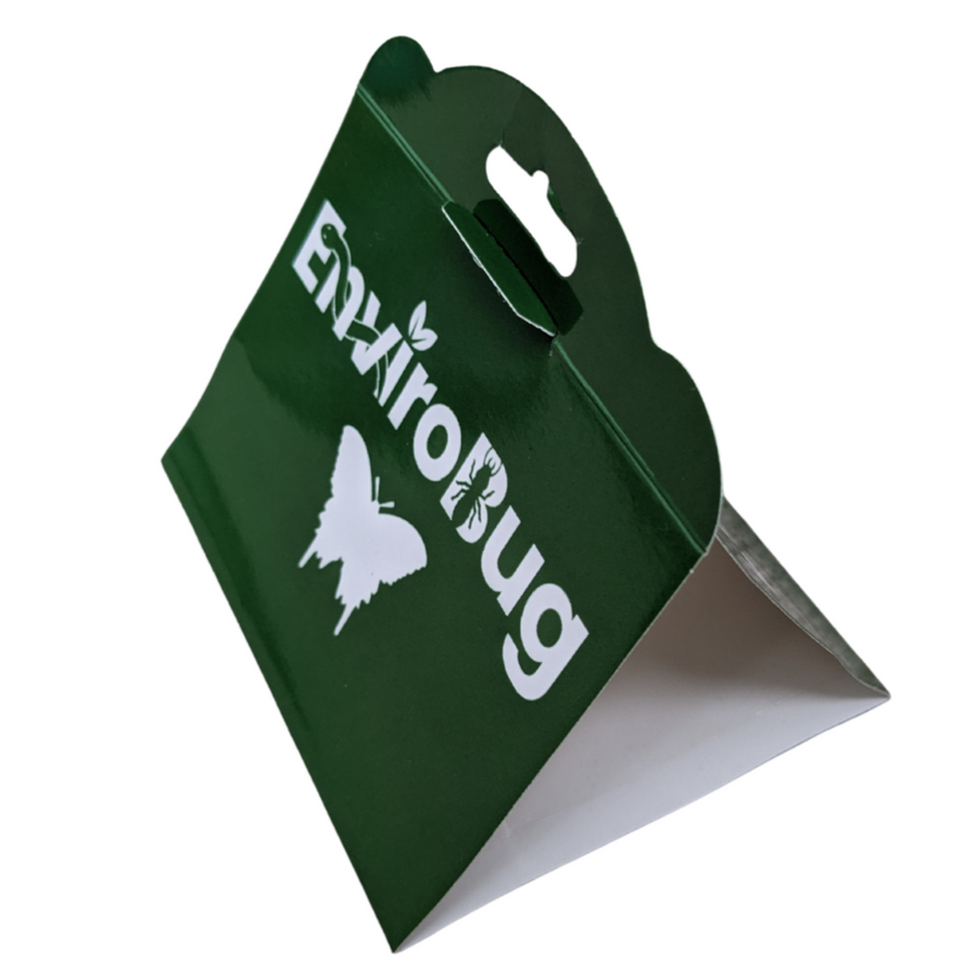 Lure+Stick: Pheromone Traps for Moths - Envirobug
