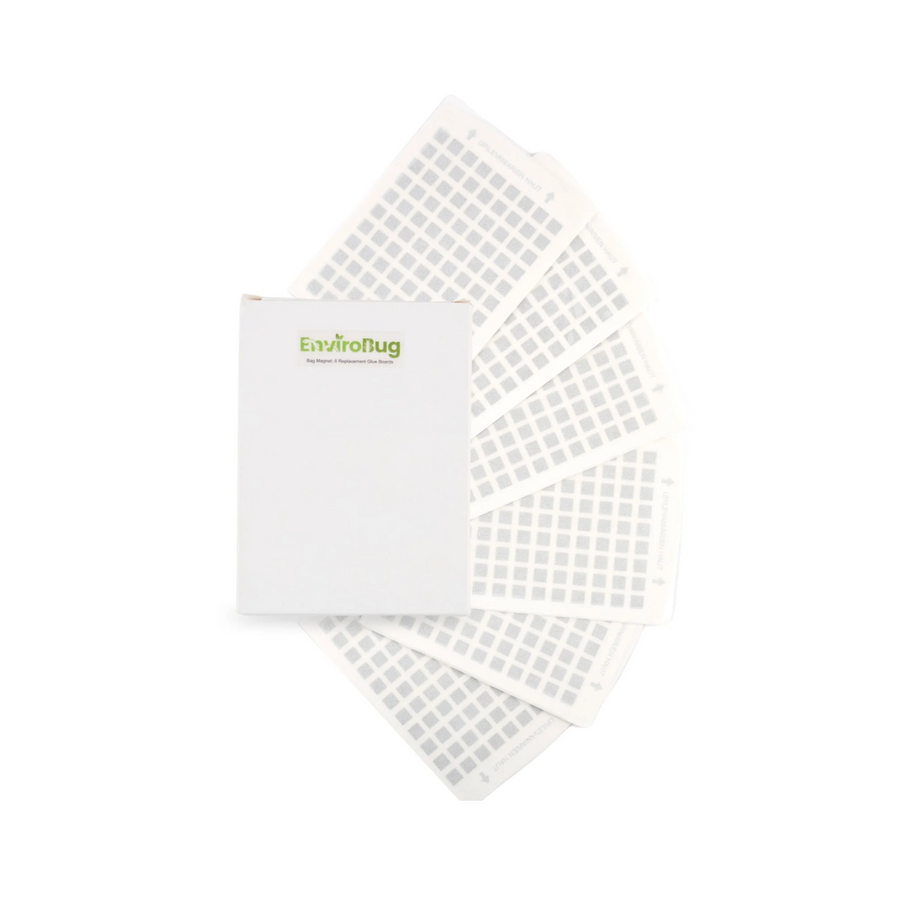 Bug Magnet Replacement Glue Boards (Pack of 6) - Envirobug