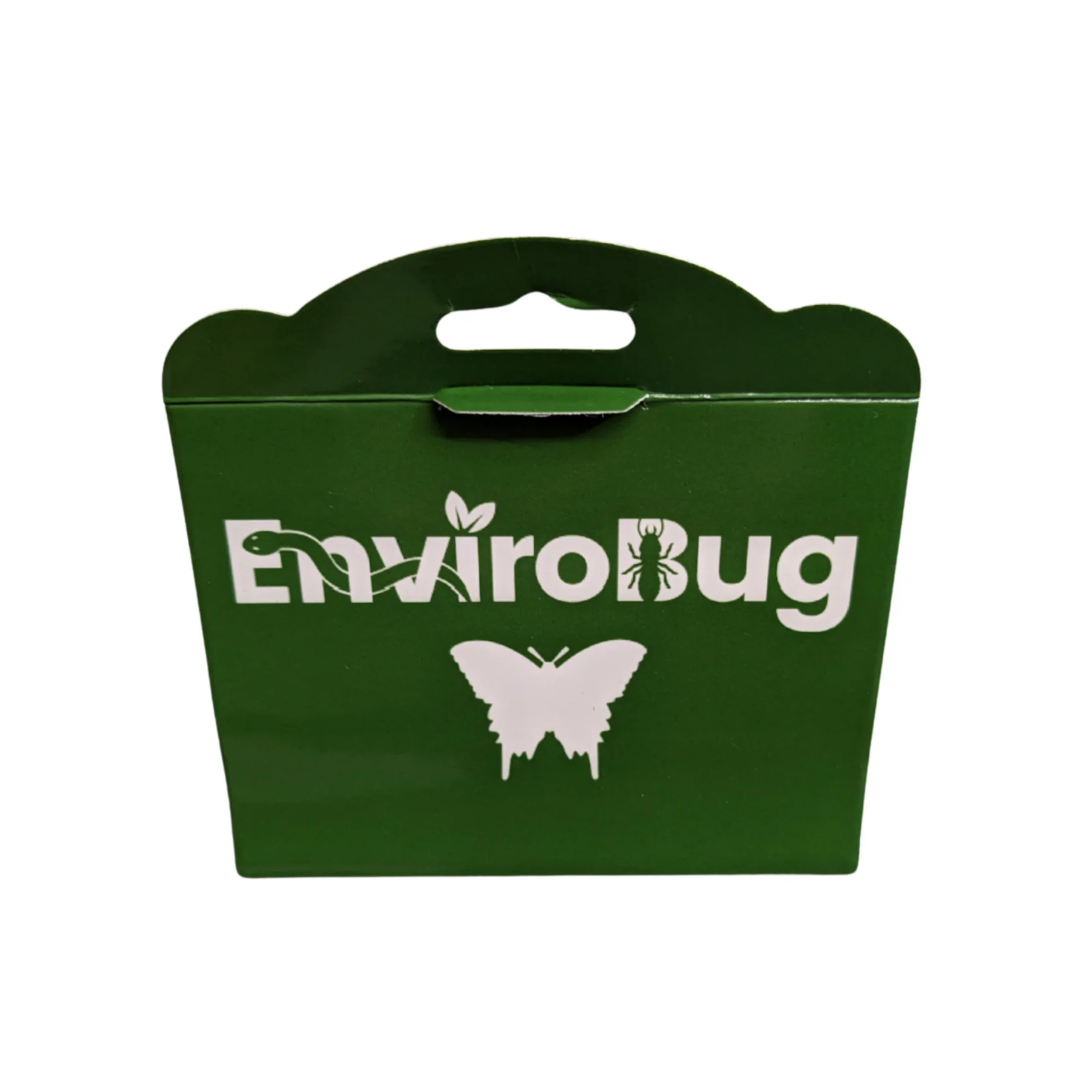 Lure+Stick: Pheromone Traps for Moths - Envirobug