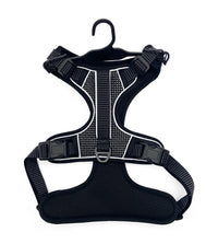 Thumbnail for Dog Harness – With Metal Tag - Envirobug