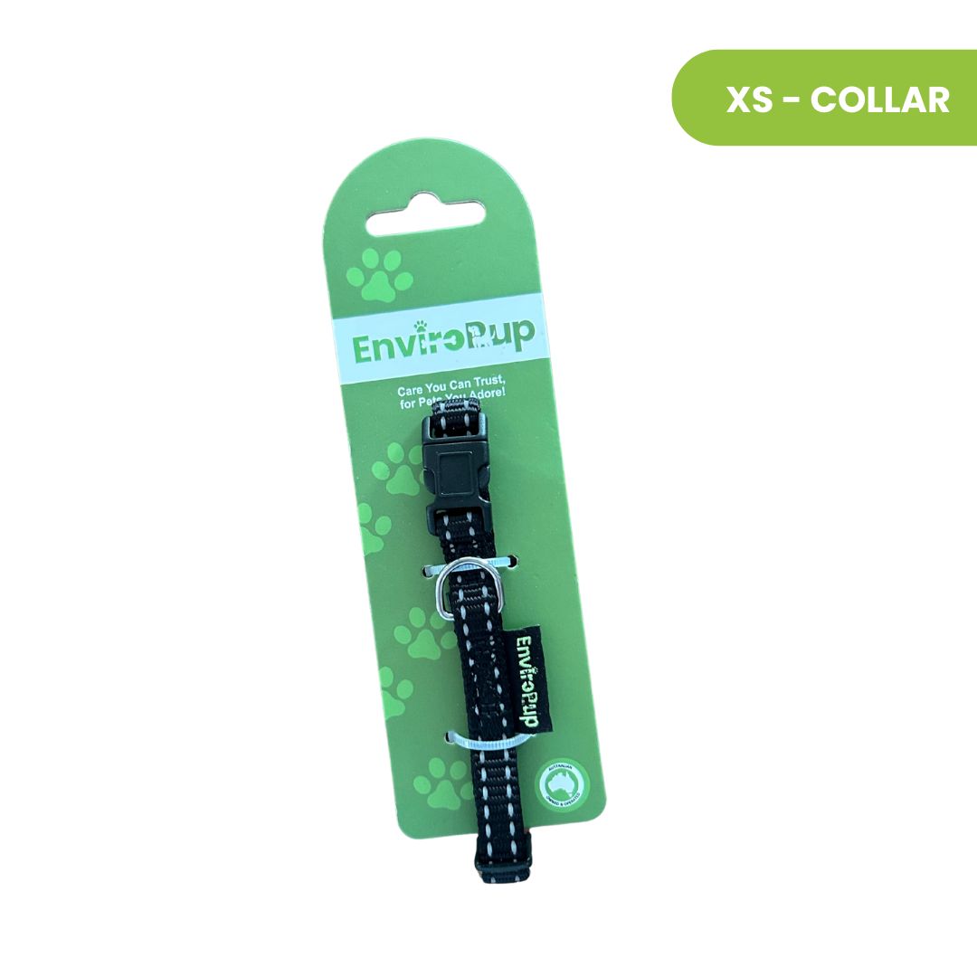 EnviroPup Classic Dog Collar – With Metal Tag - Envirobug