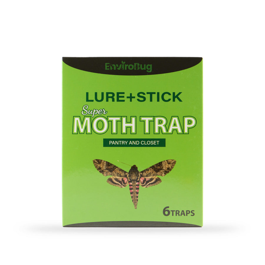 Lure+Stick: Pheromone Traps for Moths - Envirobug
