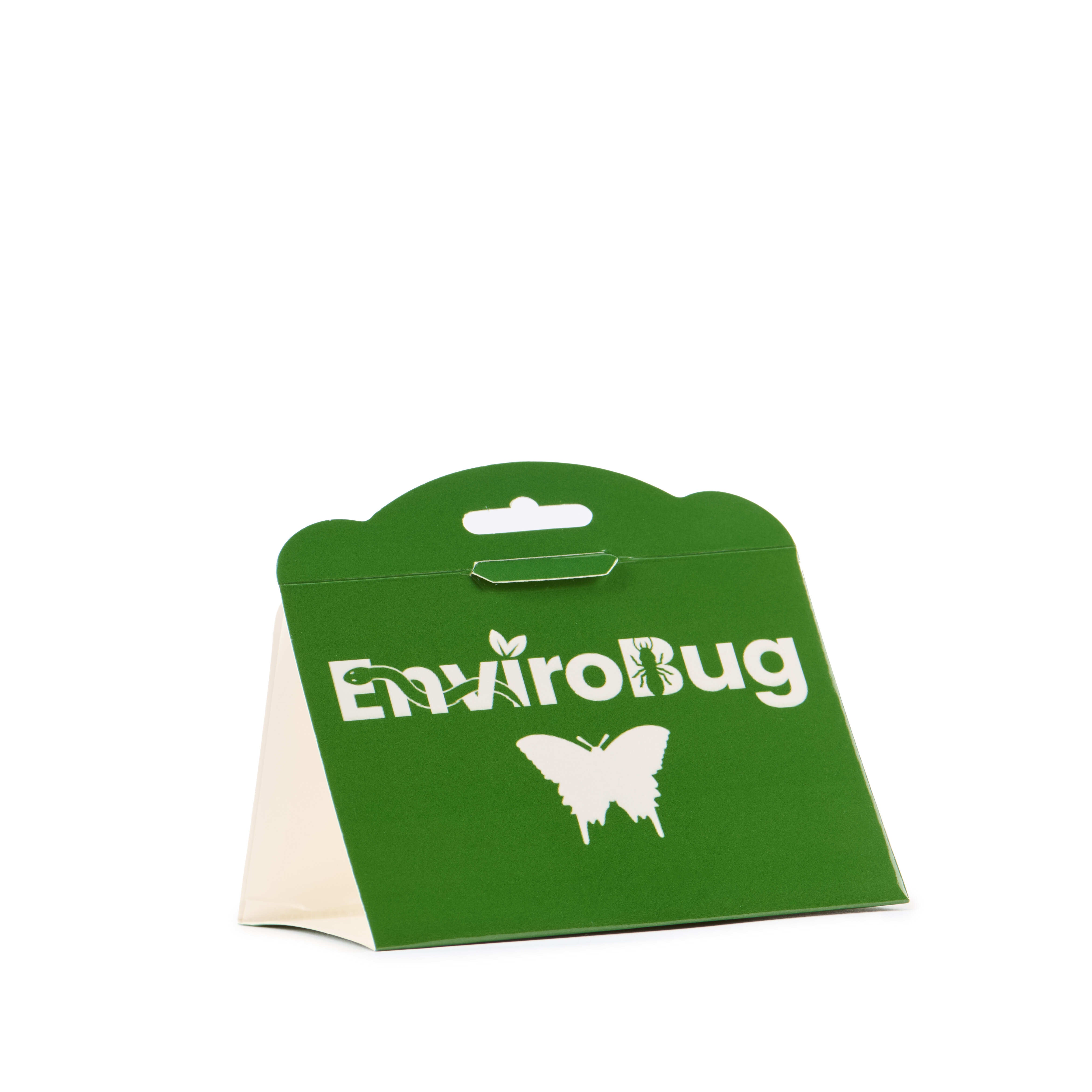 Lure+Stick: Pheromone Traps for Moths - Envirobug