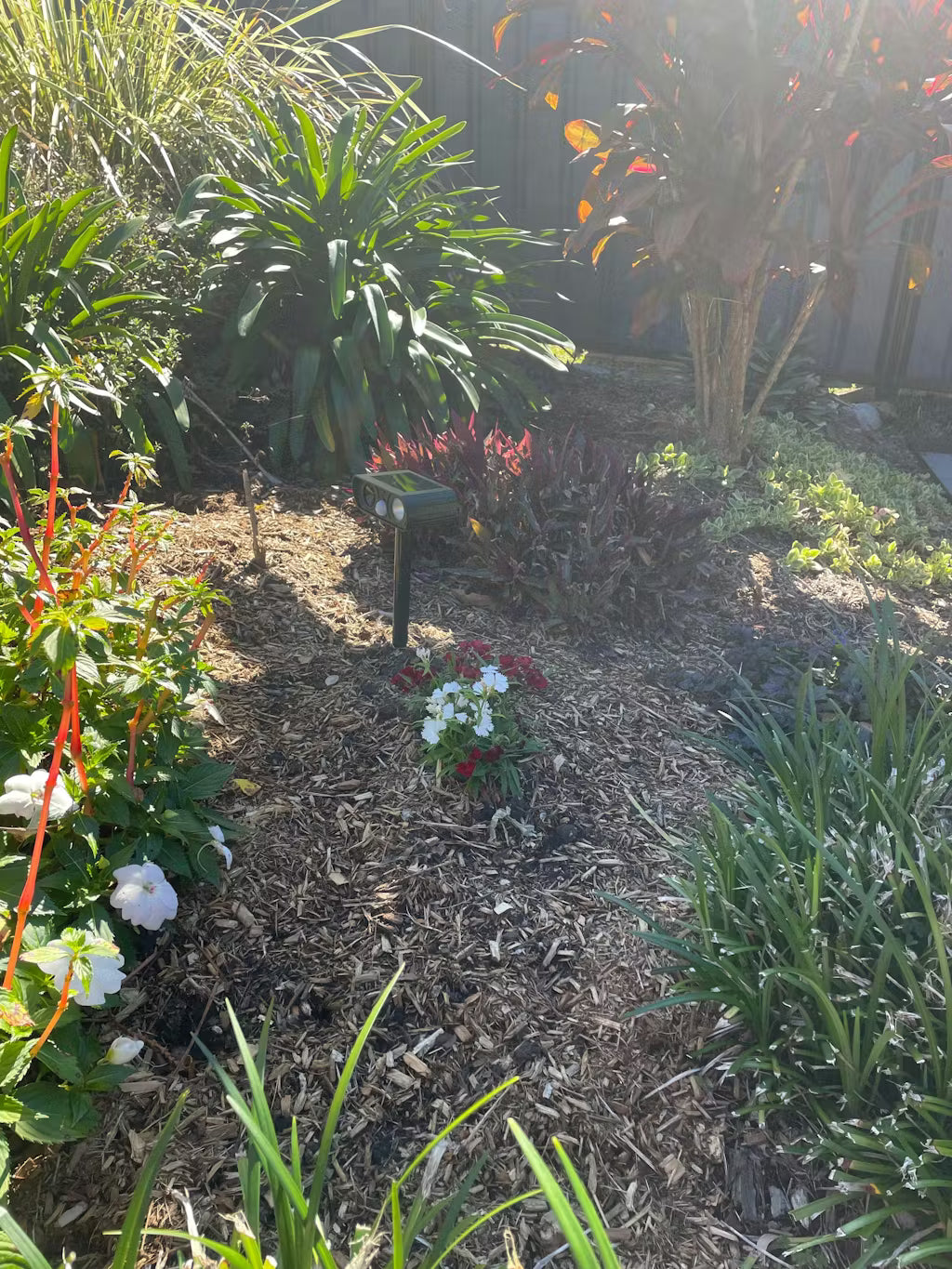 Garden Guardian - Solar Powered Ultrasonic Animal Repellent - Envirobug