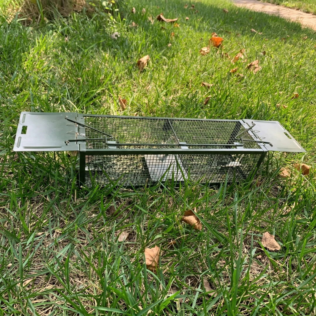 EnviroBug Metal No-Kill Rodent Trap XL [PRE-ORDER] - Envirobug