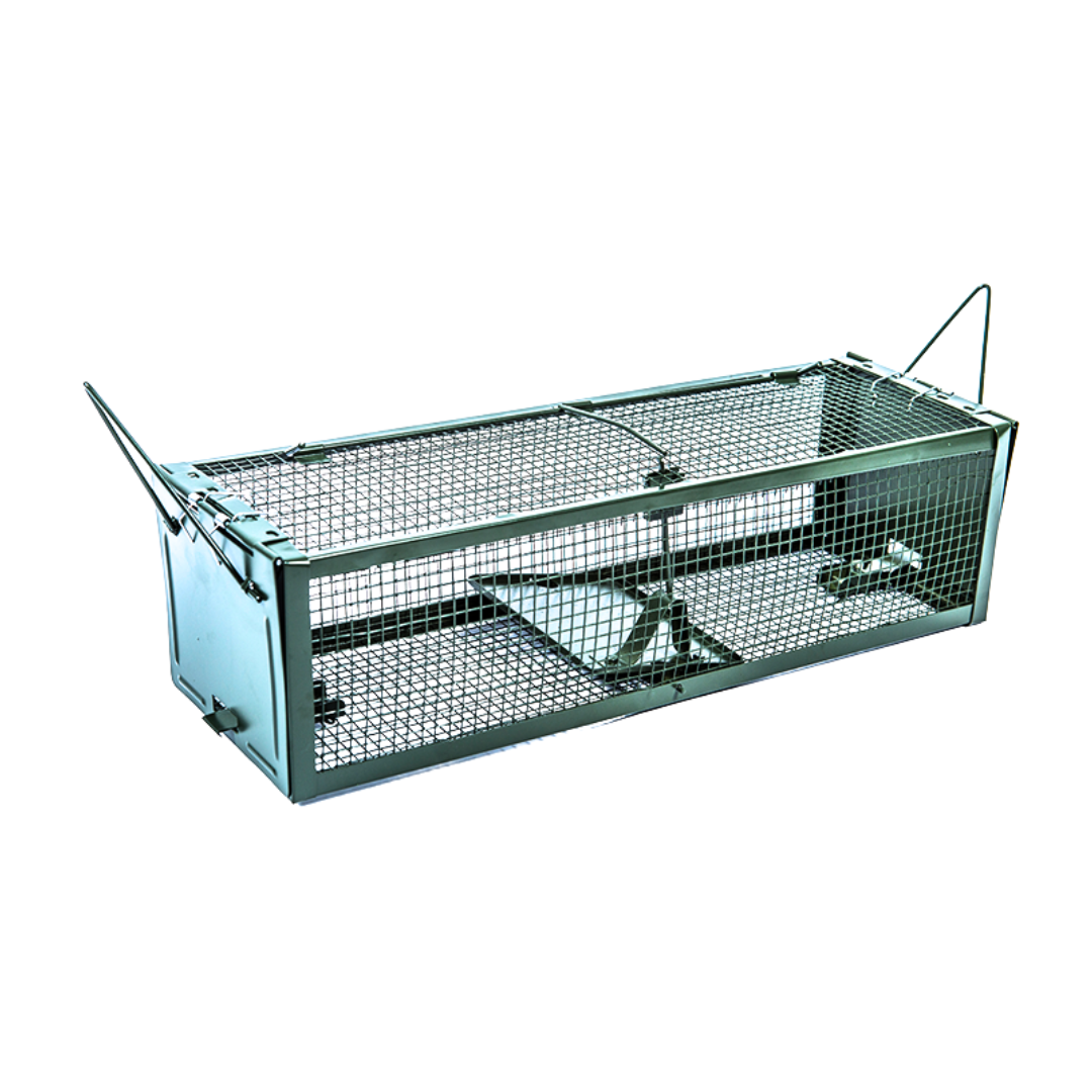 EnviroBug Metal No-Kill Rodent Trap XL [PRE-ORDER] - Envirobug