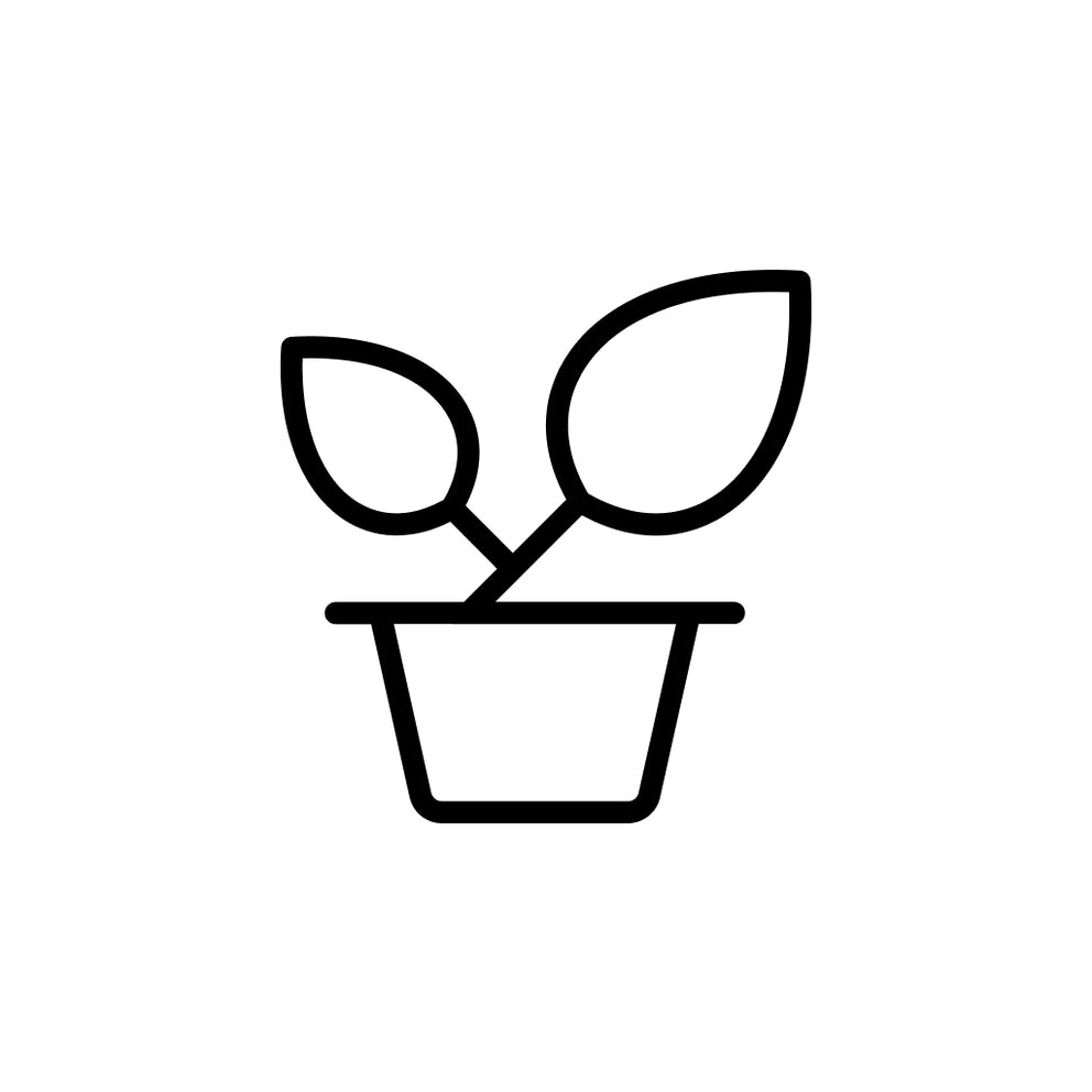 What's Good to Keep Snakes Away? | Envirobug