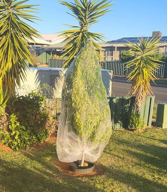 EnviroBug Tree Defender – Fruit Tree Netting for Bird and Insect