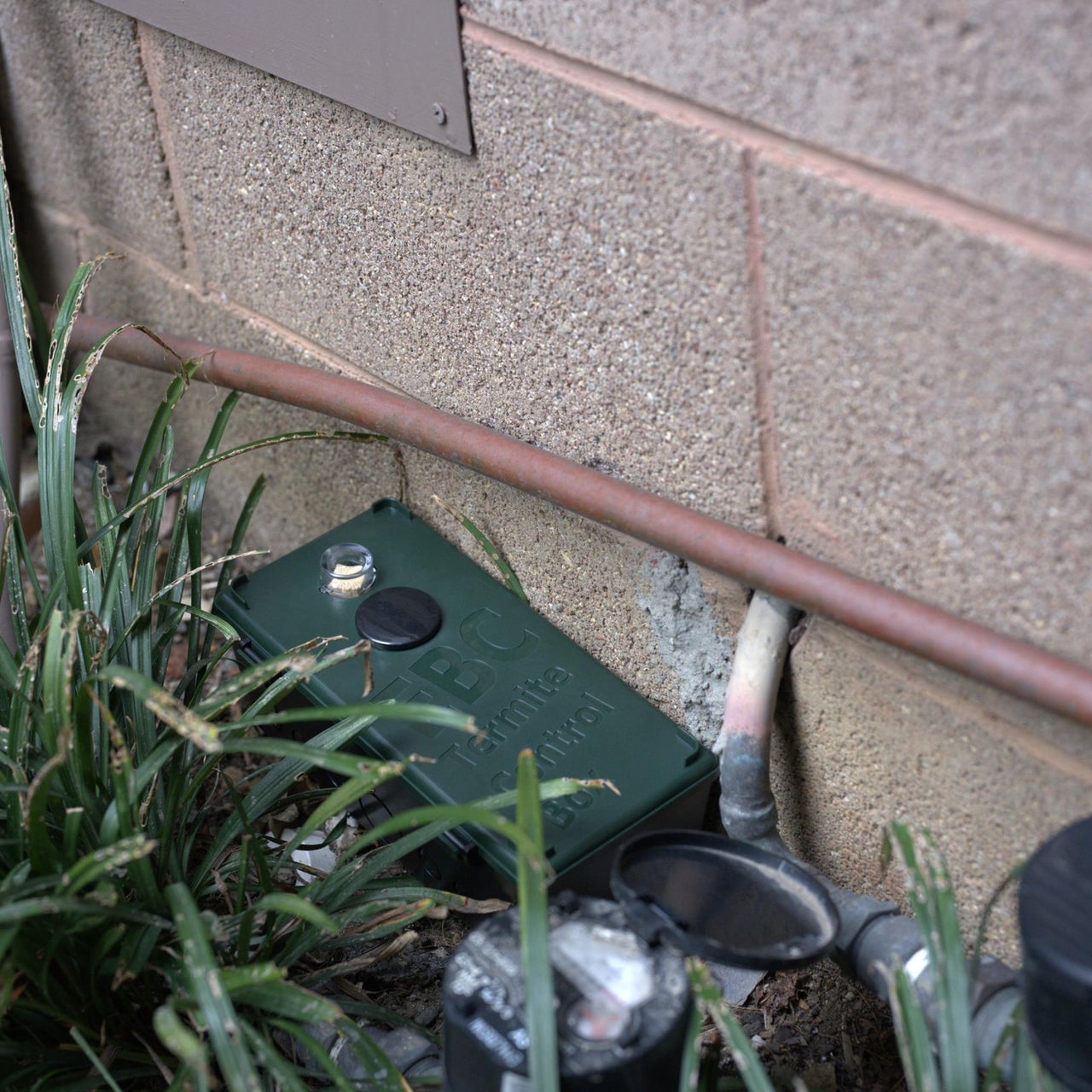 DIY Termite Eradication Kit | DIY Termite Baited Traps | EnviroBug ...