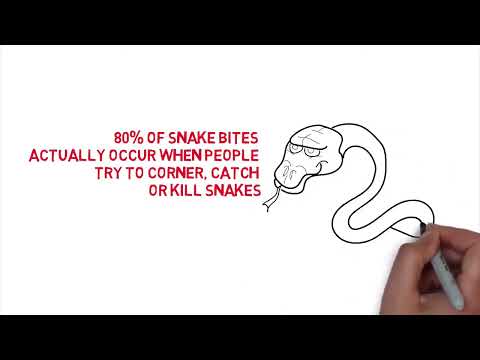 How does Envirobug snake repeller system work?
